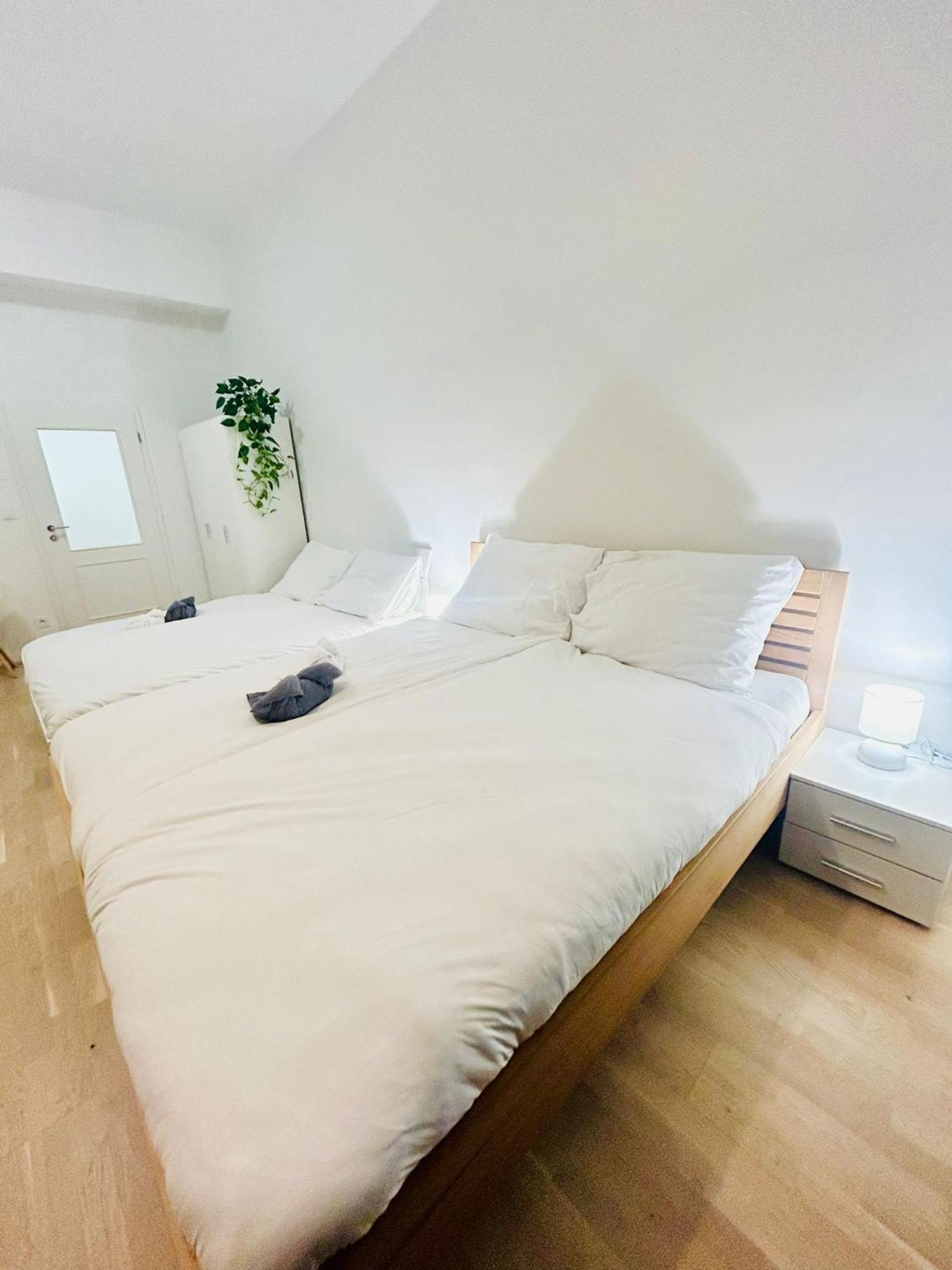 Apartment Cozy Design Right Next To Wenceslas Square *